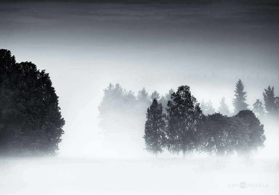 Land Of Mist