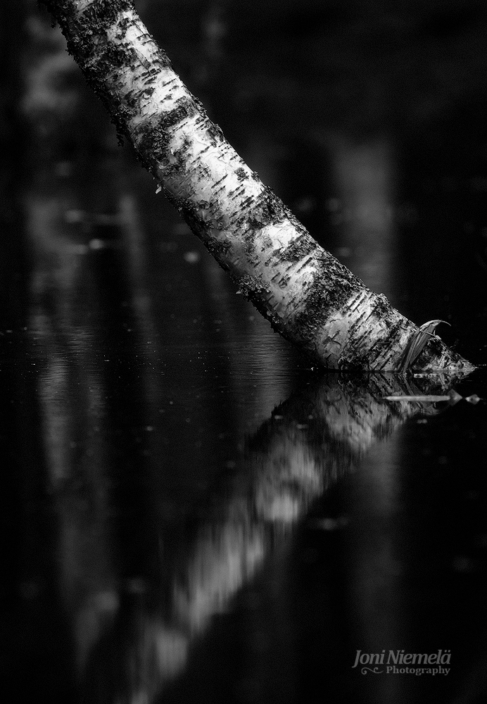 Black & White Reflection
